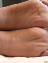 4886-Solexlight Sunny����ָ����